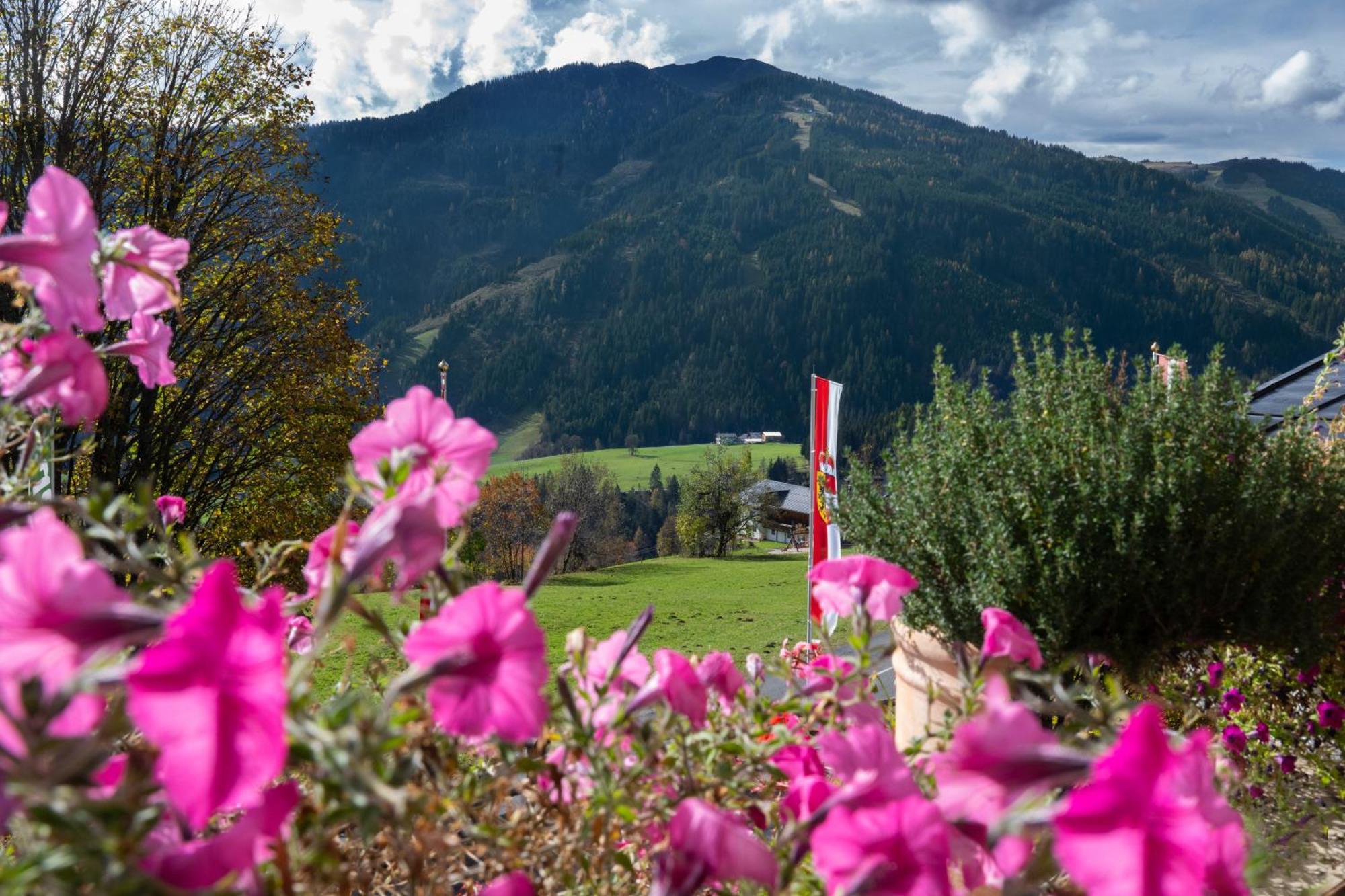 Sonnhof Am Hochkoenig Ξενοδοχείο Mühlbach am Hochkönig Εξωτερικό φωτογραφία