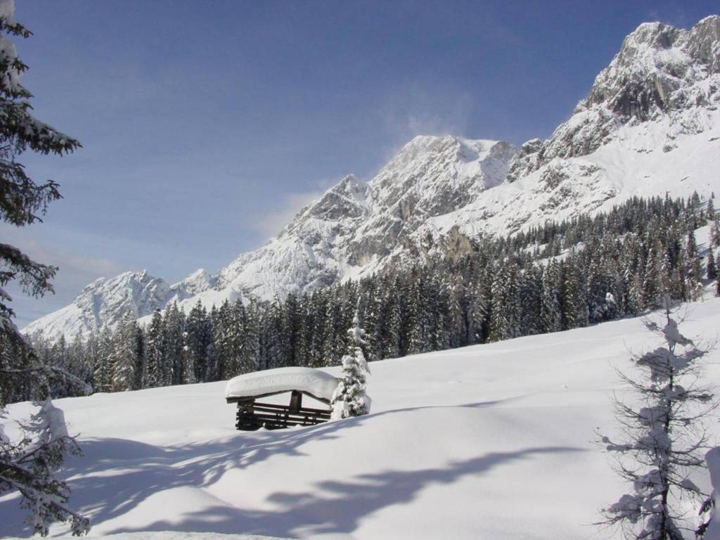 Sonnhof Am Hochkoenig Ξενοδοχείο Mühlbach am Hochkönig Εξωτερικό φωτογραφία