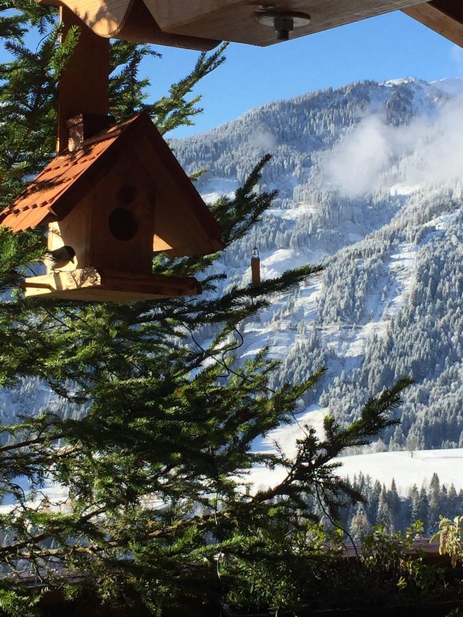 Sonnhof Am Hochkoenig Ξενοδοχείο Mühlbach am Hochkönig Εξωτερικό φωτογραφία