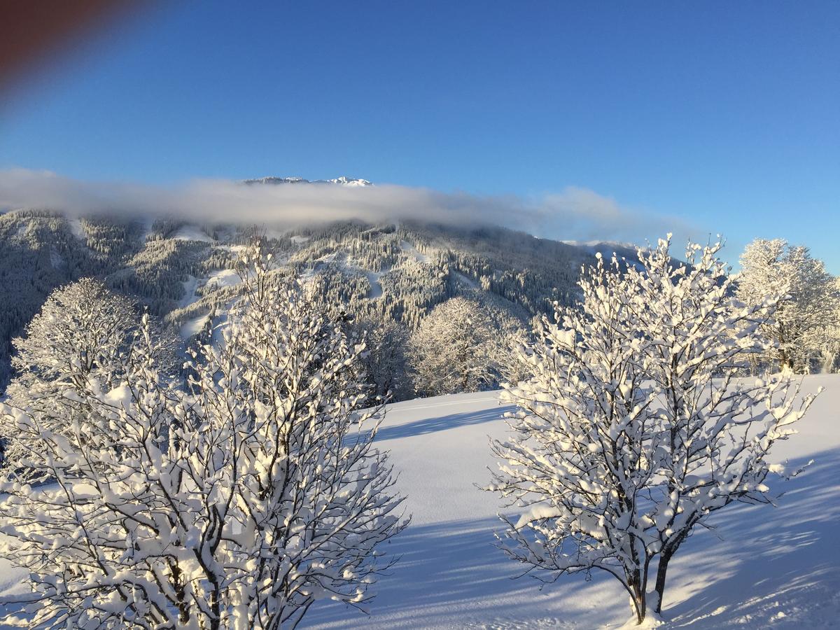 Sonnhof Am Hochkoenig Ξενοδοχείο Mühlbach am Hochkönig Εξωτερικό φωτογραφία